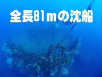 全長81ｍの沈船