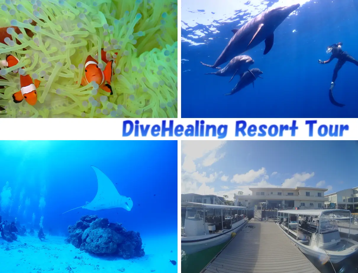 DiveHealing Resort Tour